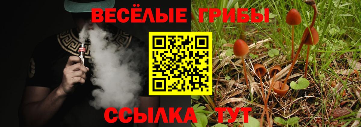 Псилоцибиновые грибы прущие грибы  Вход с VPN  Донецк 